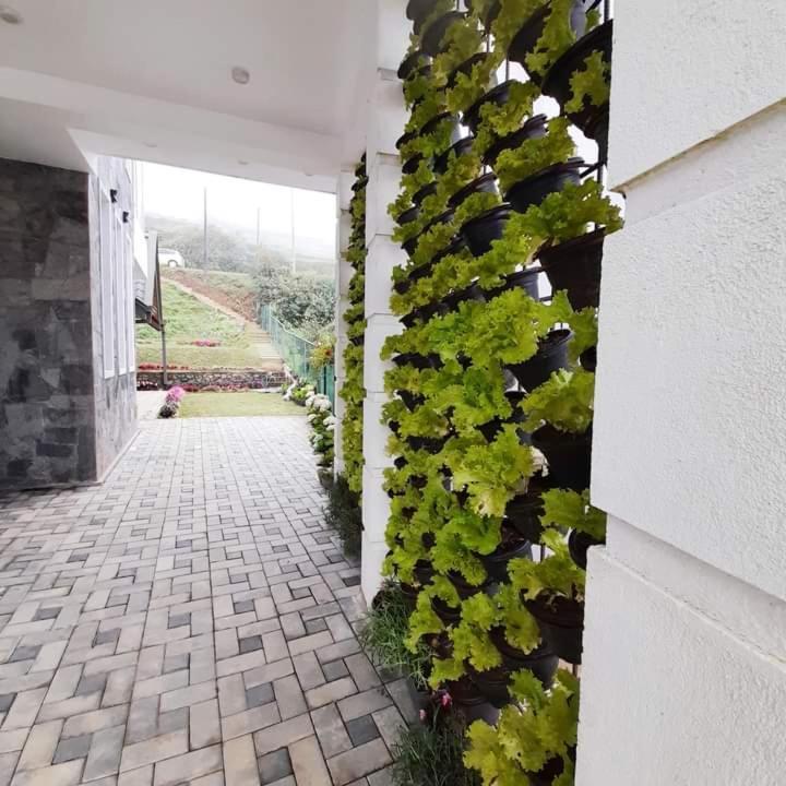 Pensive Villa Nuwara Eliya Eksteriør bilde